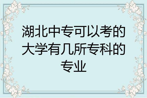 湖北中专可以考的大学有几所专科的专业