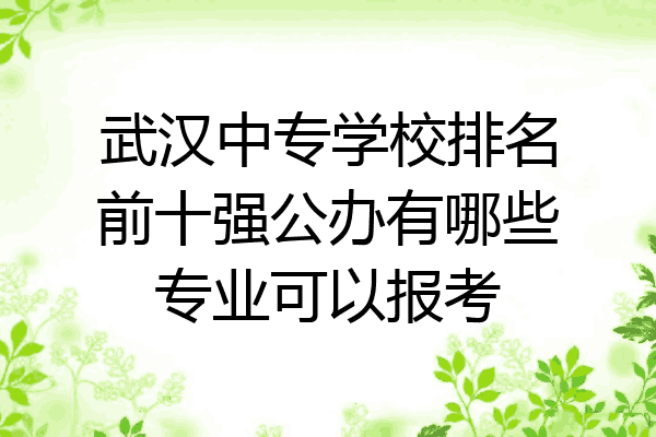武汉中专学校排名前十强公办有哪些专业可以报考