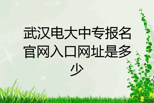 武汉电大中专报名官网入口网址是多少