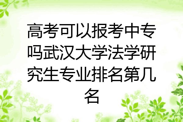 高考可以报考中专吗武汉大学法学研究生专业排名第几名