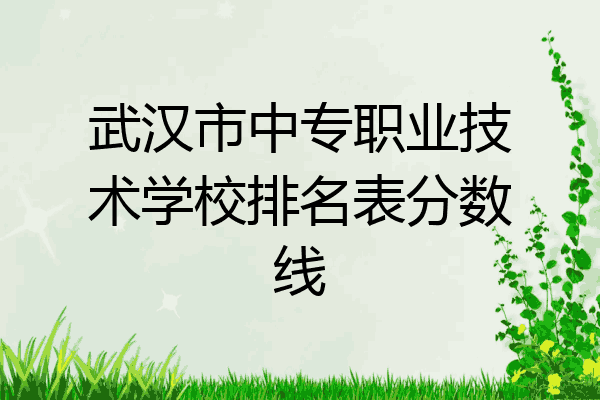 武汉市中专职业技术学校排名表分数线