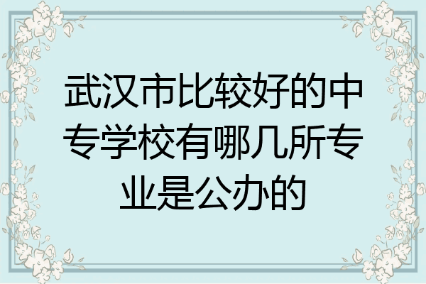 武汉市比较好的中专学校有哪几所专业是公办的