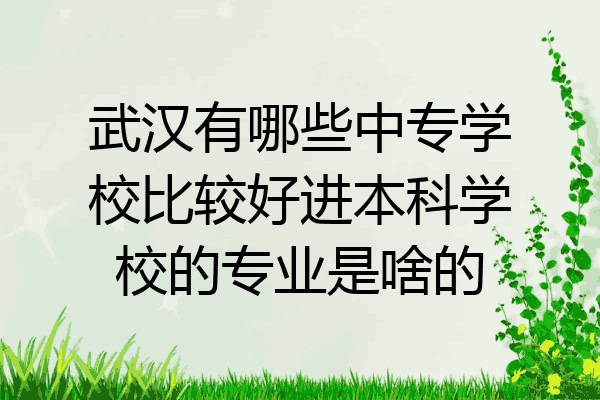 武汉有哪些中专学校比较好进本科学校的专业是啥的
