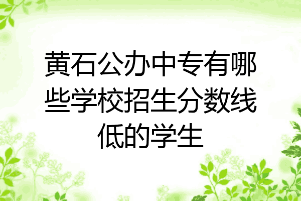 黄石公办中专有哪些学校招生分数线低的学生