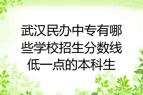 武汉民办中专有哪些学校招生分数线低一点的本科生
