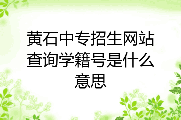 黄石中专招生网站查询学籍号是什么意思
