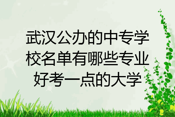 武汉公办的中专学校名单有哪些专业好考一点的大学