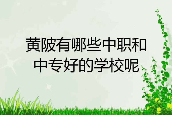 黄陂有哪些中职和中专好的学校呢