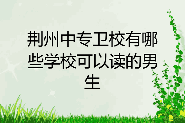 荆州中专卫校有哪些学校可以读的男生