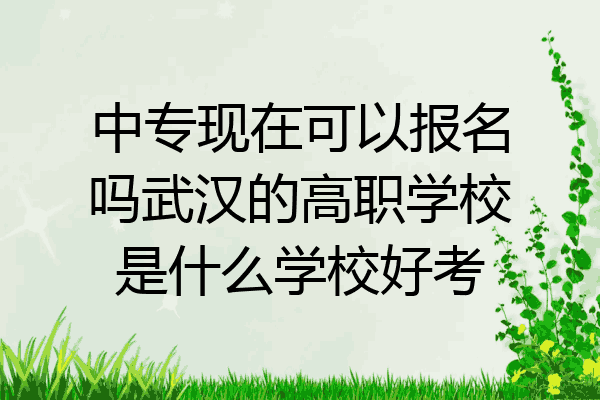 中专现在可以报名吗武汉的高职学校是什么学校好考