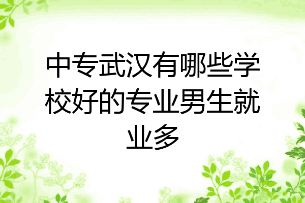 中专武汉有哪些学校好的专业男生就业多