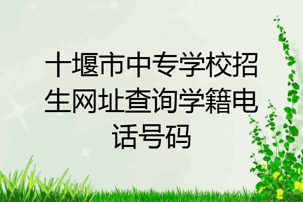 十堰市中专学校招生网址查询学籍电话号码
