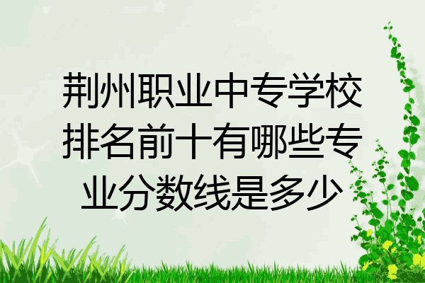 荆州职业中专学校排名前十有哪些专业分数线是多少