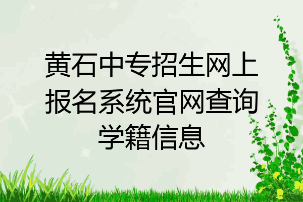 黄石中专招生网上报名系统官网查询学籍信息