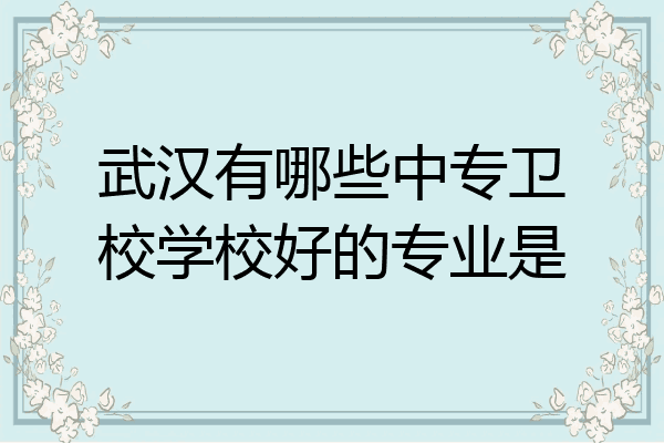 武汉有哪些中专卫校学校好的专业是