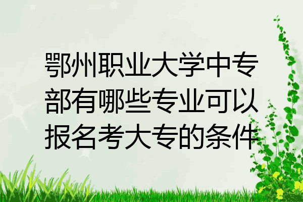 鄂州职业大学中专部有哪些专业可以报名考大专的条件
