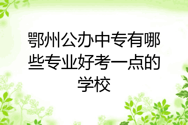 鄂州公办中专有哪些专业好考一点的学校