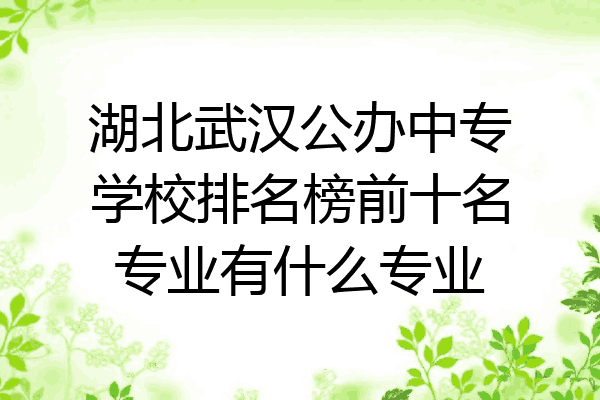 湖北武汉公办中专学校排名榜前十名专业有什么专业