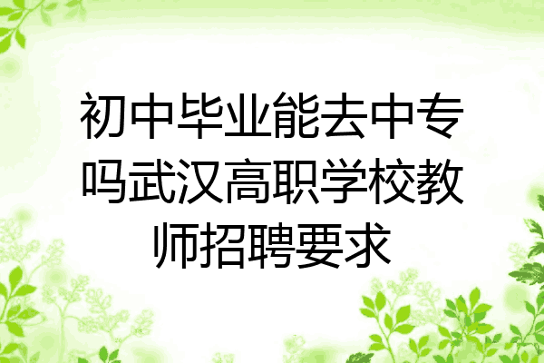 初中毕业能去中专吗武汉高职学校教师招聘要求