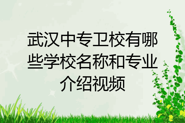 武汉中专卫校有哪些学校名称和专业介绍视频