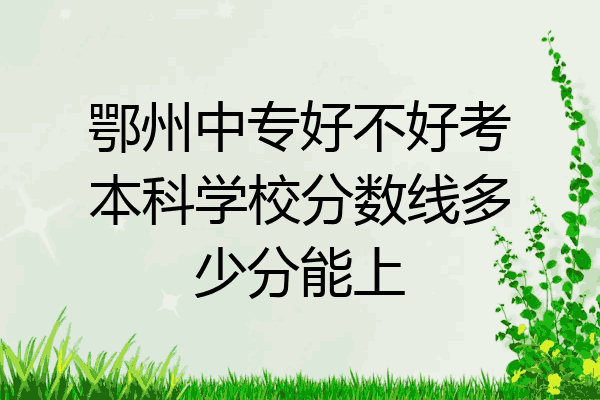 鄂州中专好不好考本科学校分数线多少分能上