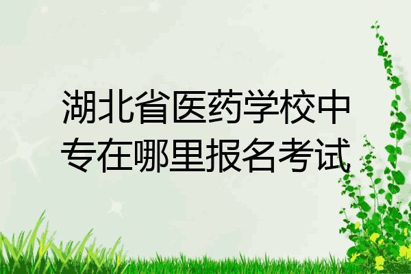 湖北省医药学校中专在哪里报名考试