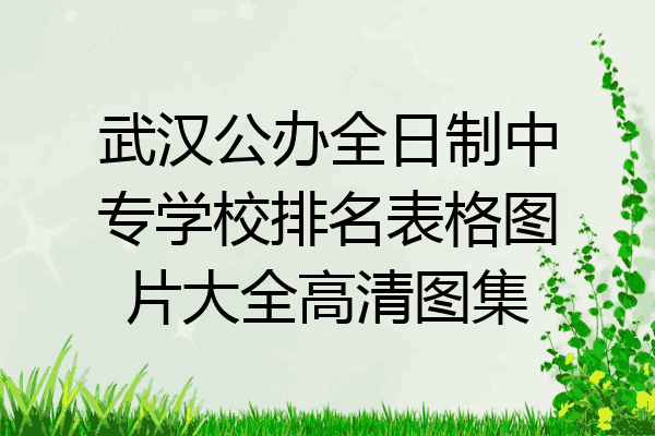 武汉公办全日制中专学校排名表格图片大全高清图集