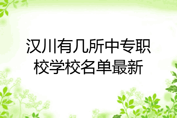 汉川有几所中专职校学校名单最新