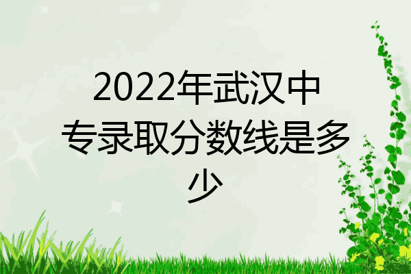 2022年武汉中专录取分数线是多少