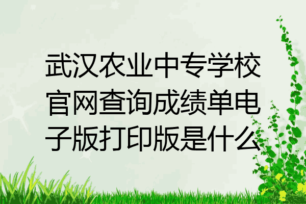 武汉农业中专学校官网查询成绩单电子版打印版是什么