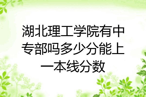 湖北理工学院有中专部吗多少分能上一本线分数