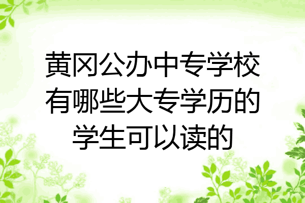 黄冈公办中专学校有哪些大专学历的学生可以读的