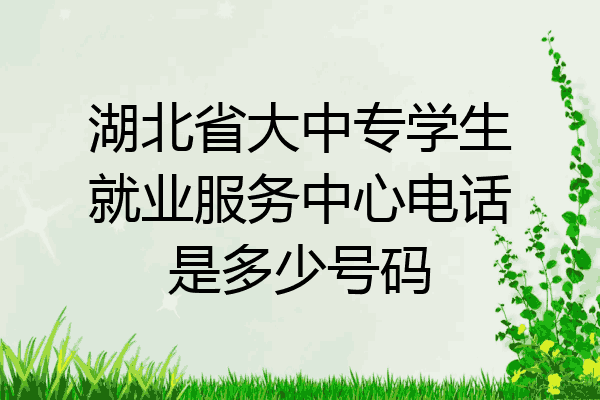湖北省大中专学生就业服务中心电话是多少号码