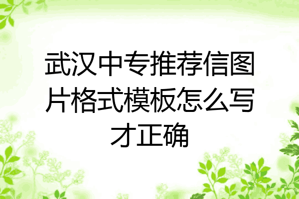 武汉中专推荐信图片格式模板怎么写才正确