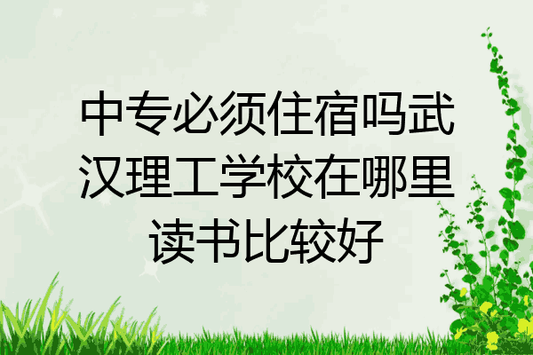 中专必须住宿吗武汉理工学校在哪里读书比较好