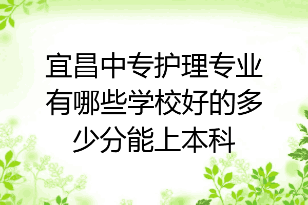 宜昌中专护理专业有哪些学校好的多少分能上本科