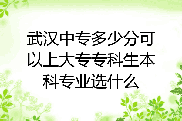 武汉中专多少分可以上大专专科生本科专业选什么