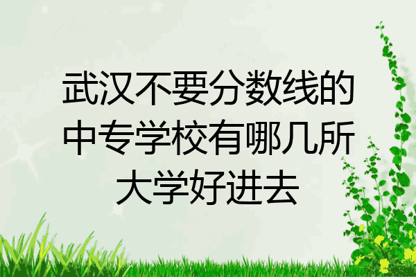 武汉不要分数线的中专学校有哪几所大学好进去