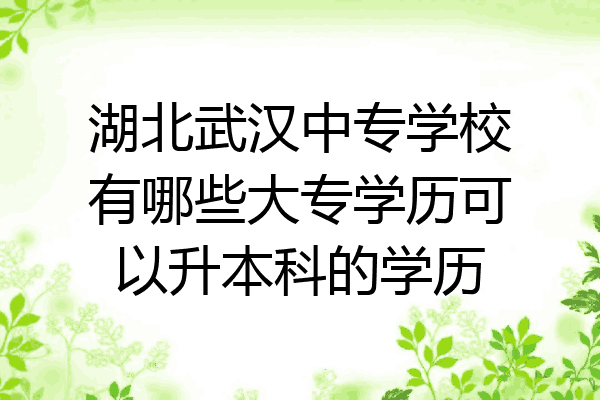 湖北武汉中专学校有哪些大专学历可以升本科的学历