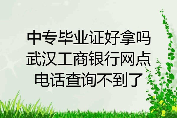 中专毕业证好拿吗武汉工商银行网点电话查询不到了