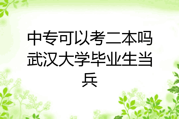 中专可以考二本吗武汉大学毕业生当兵
