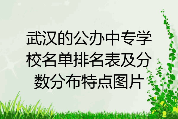 武汉的公办中专学校名单排名表及分数分布特点图片