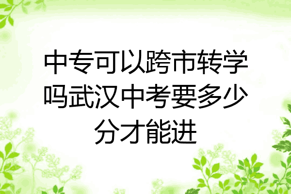 中专可以跨市转学吗武汉中考要多少分才能进