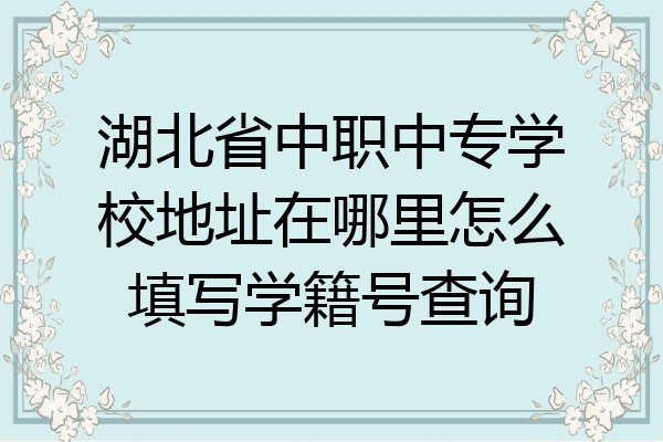 湖北省中职中专学校地址在哪里怎么填写学籍号查询