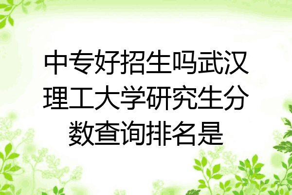 中专好招生吗武汉理工大学研究生分数查询排名是
