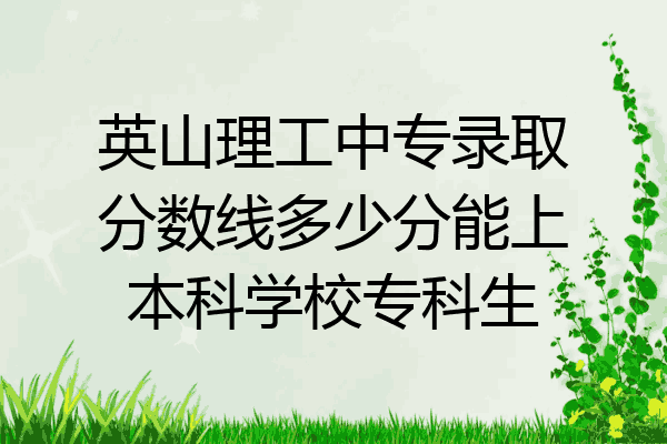 英山理工中专录取分数线多少分能上本科学校专科生