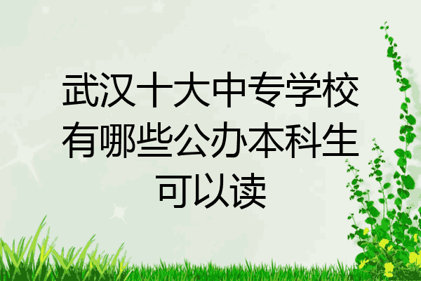 武汉十大中专学校有哪些公办本科生可以读