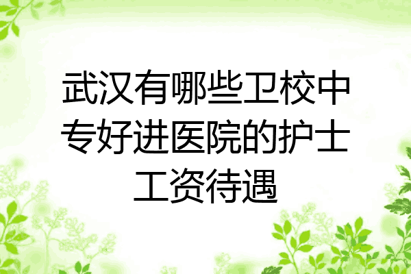 武汉有哪些卫校中专好进医院的护士工资待遇