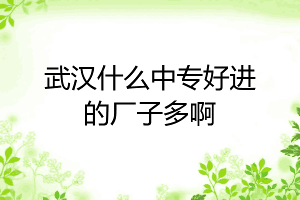武汉什么中专好进的厂子多啊