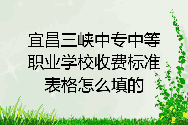 宜昌三峡中专中等职业学校收费标准表格怎么填的